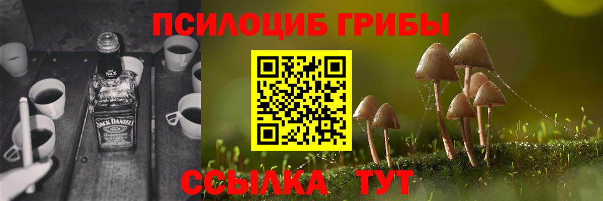 Псилоцибиновые грибы MAGIC MUSHROOMS Мыски